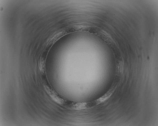 X0000083040138200702161716