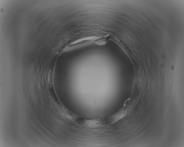 X0000083040139200702161716