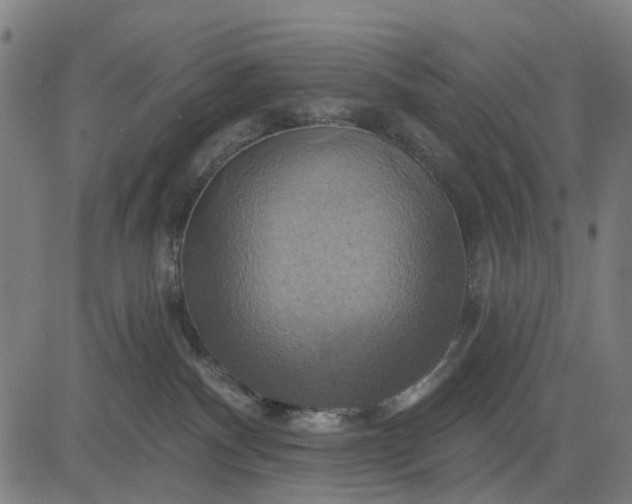 X0000083040140200702161716