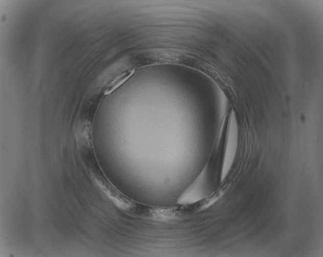 X0000083040141200702161716