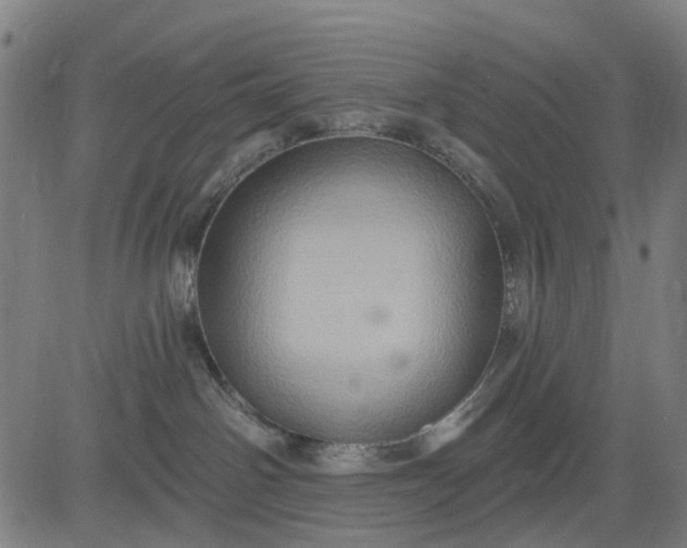 X0000083040142200702161716