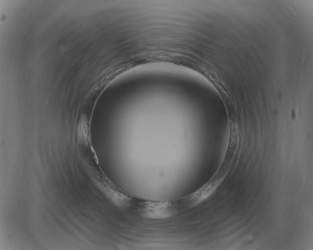 X0000083040143200702161716