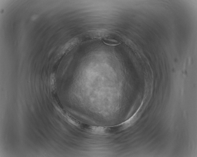 X0000083040144200702161716