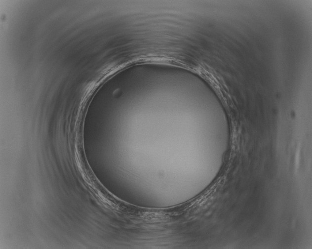 X0000083040145200702161715