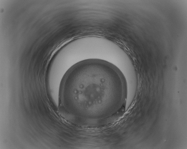 X0000083040146200702161715