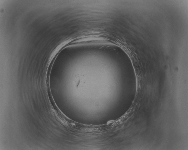 X0000083040147200702161715