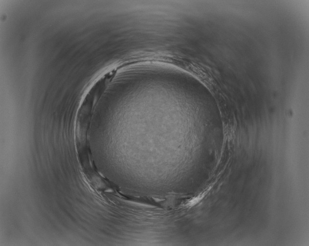 X0000083040148200702161715