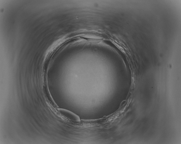 X0000083040149200702161715