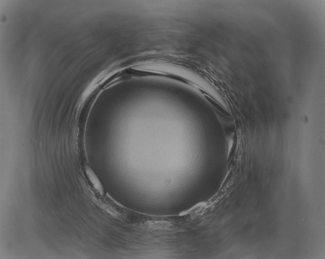 X0000083040150200702161715