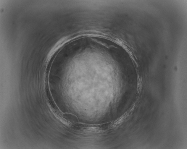 X0000083040151200702161715