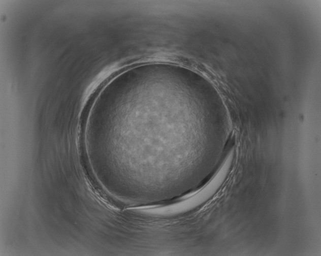 X0000083040152200702161715