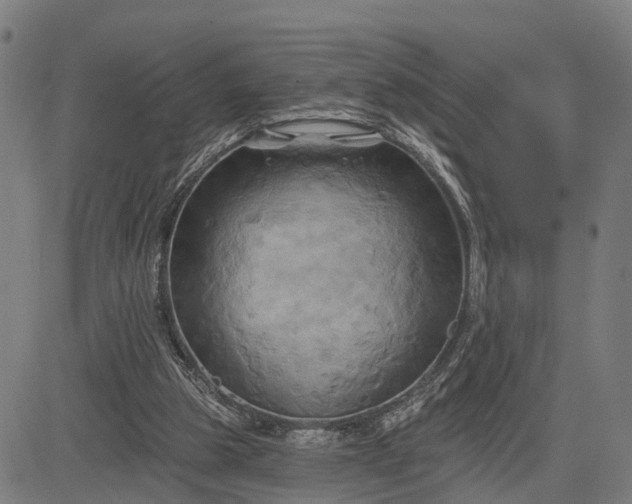 X0000083040153200702161715