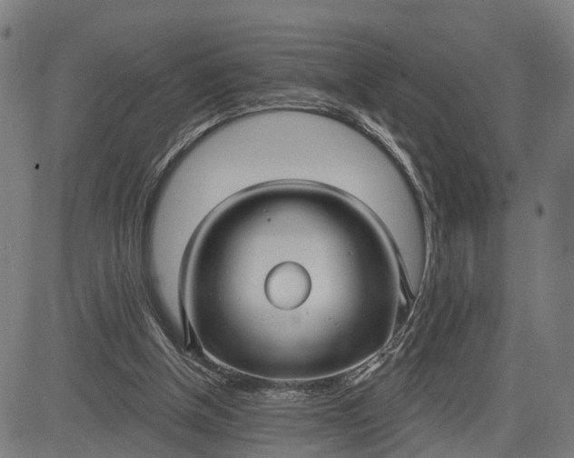 X0000083040154200702161715