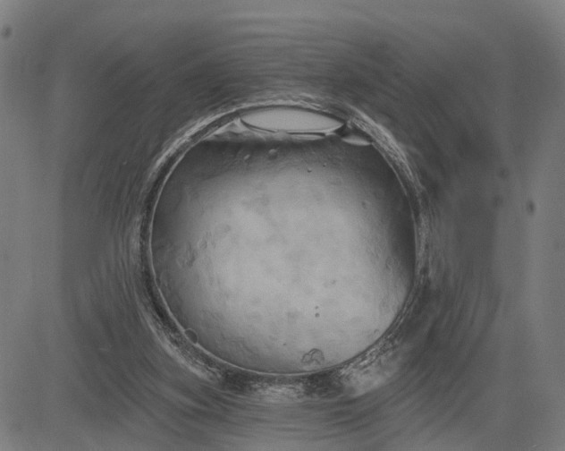 X0000083040155200702161715