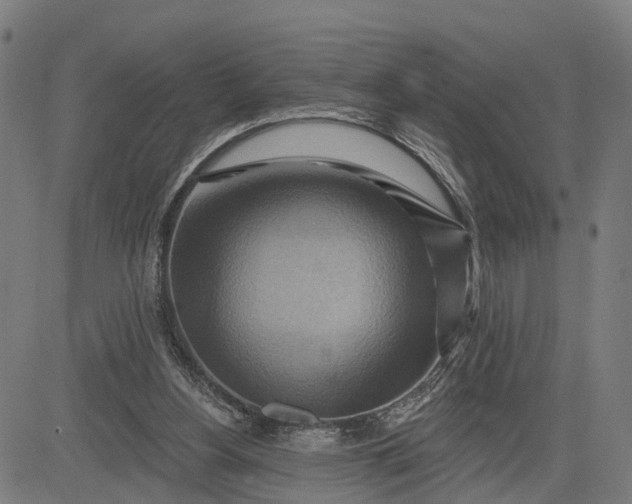 X0000083040156200702161715