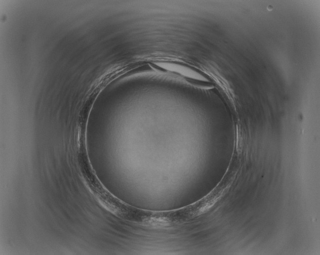 X0000083040157200702161715