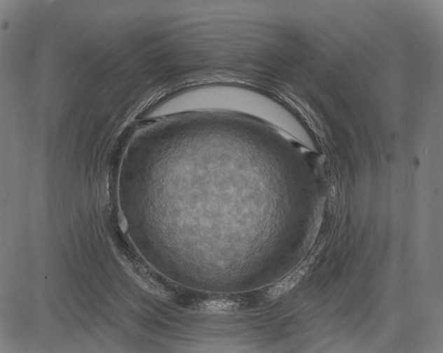 X0000083040158200702161715