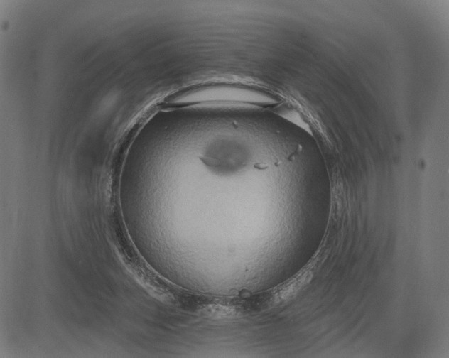 X0000083040159200702161715