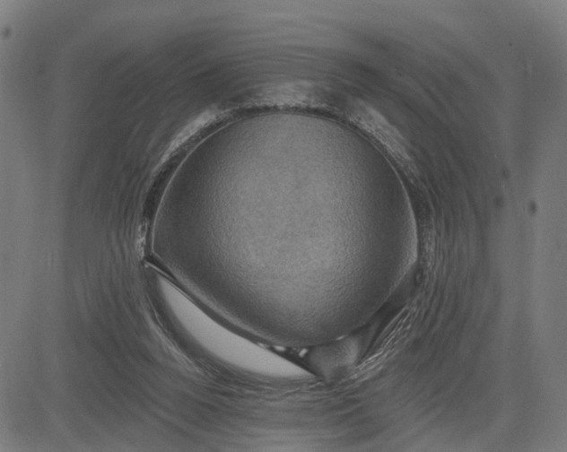 X0000083040160200702161715