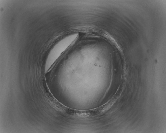 X0000083040161200702161715