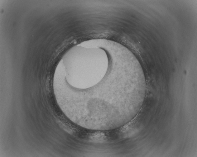 X0000083040162200702161715