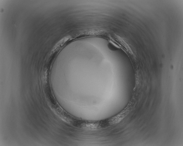 X0000083040163200702161715