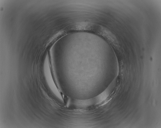 X0000083040164200702161715