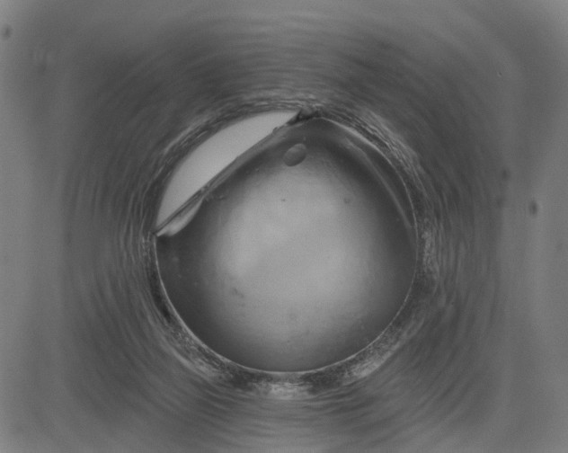 X0000083040165200702161715