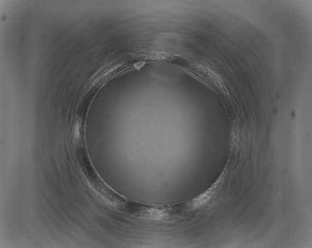 X0000083040166200702161715