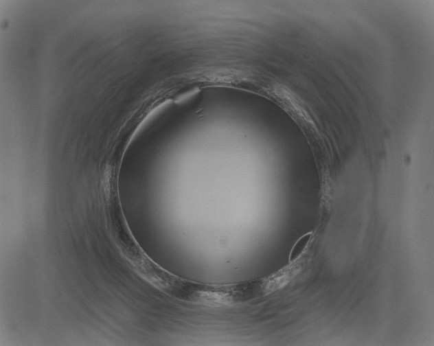 X0000083040167200702161715