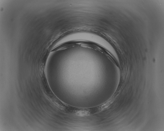 X0000083040168200702161715