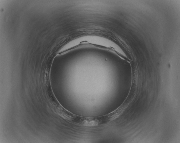 X0000083040169200702161715