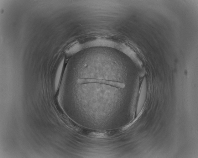 X0000083040170200702161715