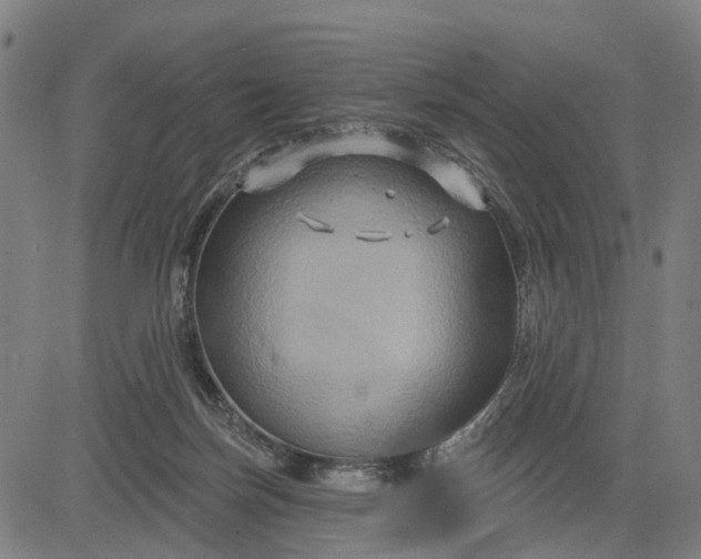 X0000083040171200702161715