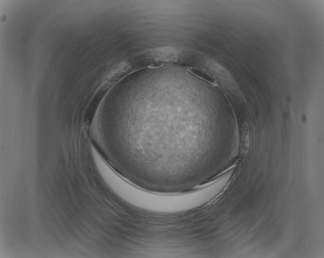 X0000083040172200702161715