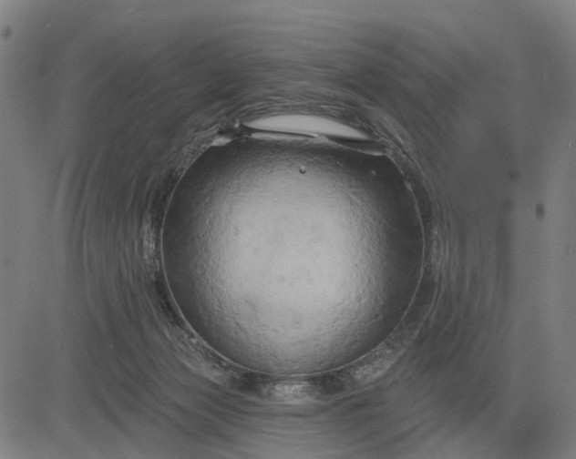 X0000083040173200702161715