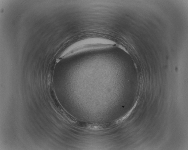 X0000083040174200702161715