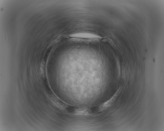 X0000083040175200702161715