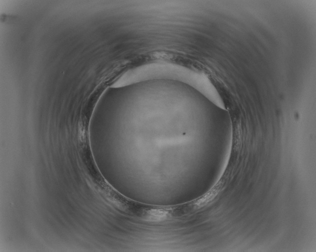 X0000083040176200702161715