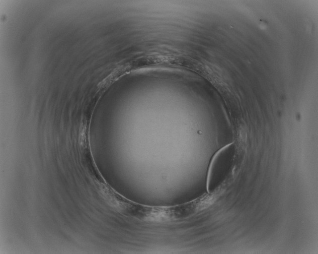 X0000083040177200702161715