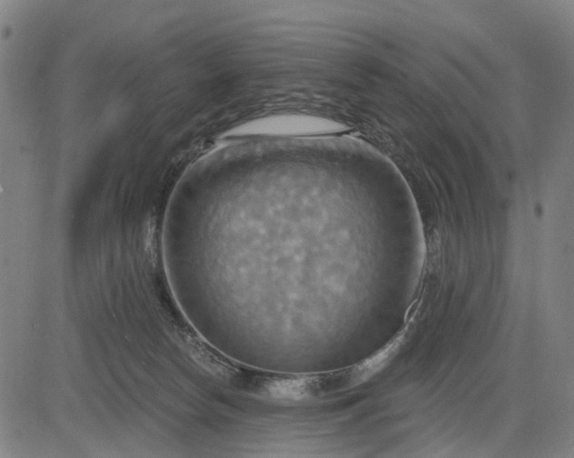 X0000083040178200702161715