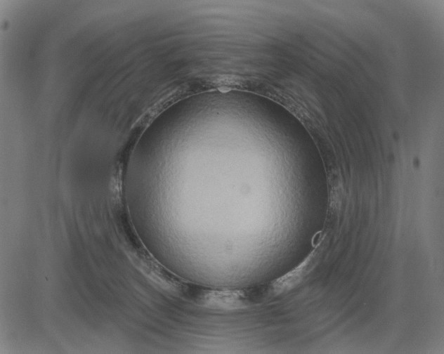 X0000083040179200702161715