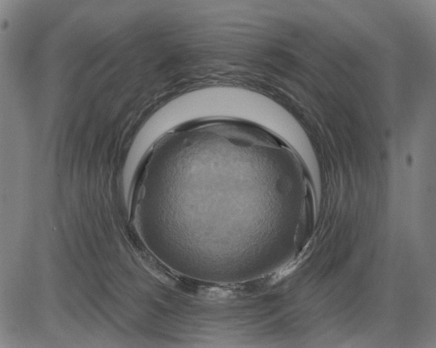 X0000083040180200702161715