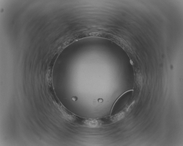 X0000083040181200702161715