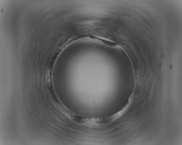 X0000083040182200702161715