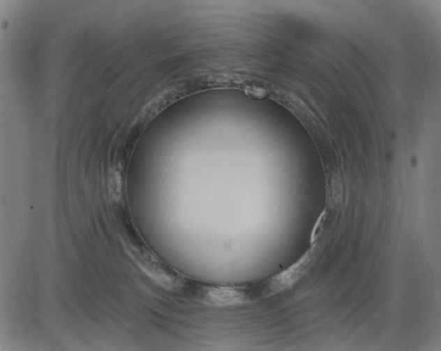 X0000083040183200702161715