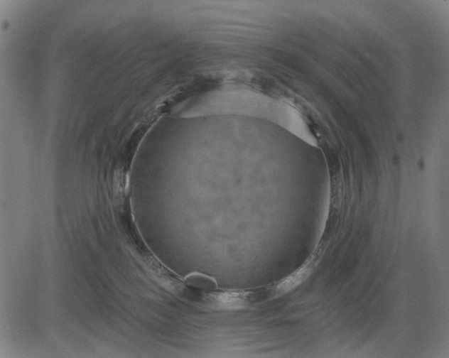 X0000083040184200702161715