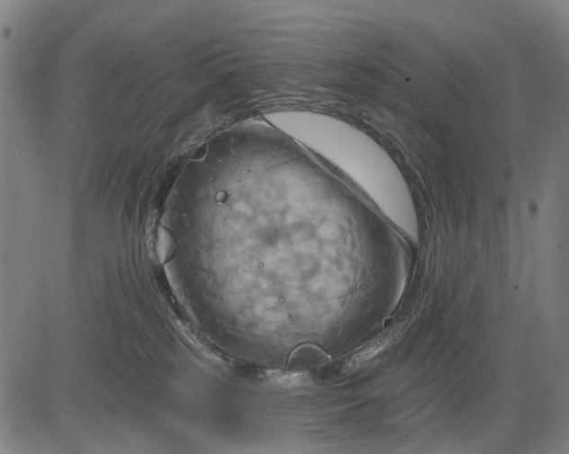 X0000083040185200702161716