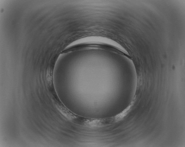 X0000083040186200702161716