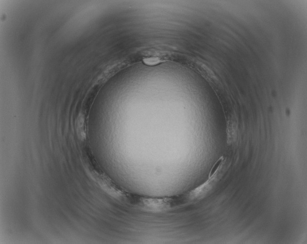 X0000083040187200702161716